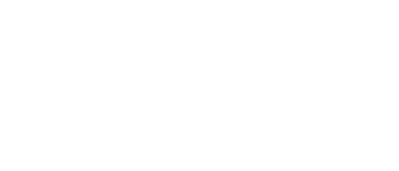SECURIIX Logo White 0K